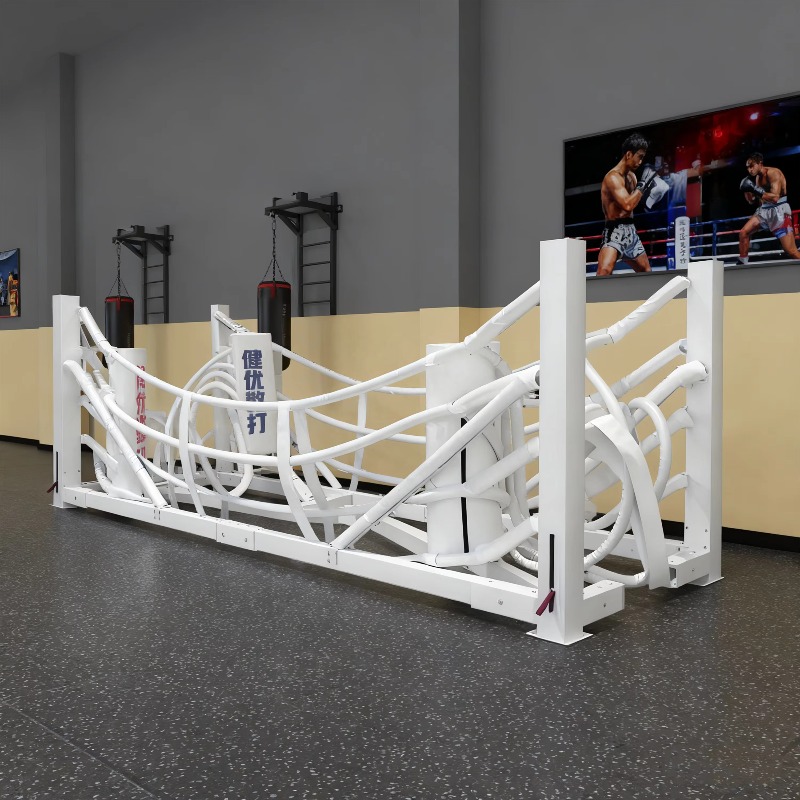 Foldable Gym Boxing Ring Set S - Home Gym Equipment Set review and price