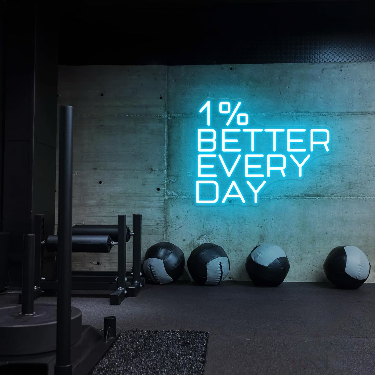 1% Better Every Day Neon Sign, - Home Gym Neon Sign review and price