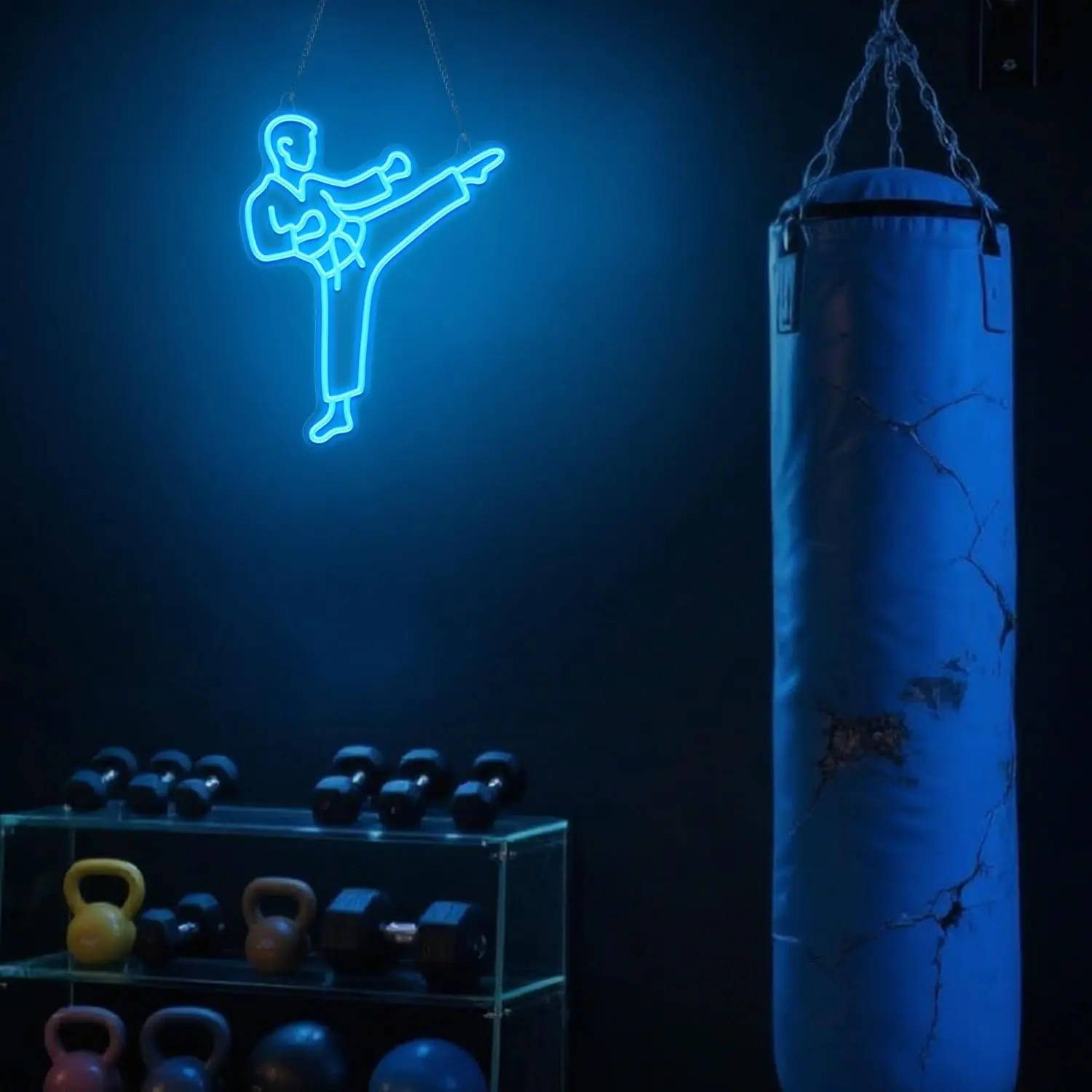 Karate Man Neon Sign Blue LED  - Home Gym Neon Sign review and price